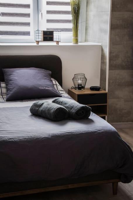 Les 4 Chenes - T2 Refait A Neuf Apartment Le Pont-de-Beauvoisin Luaran gambar